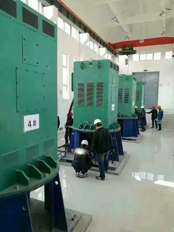 金寨某污水处理厂使用我厂的立式高压电机安装现场
